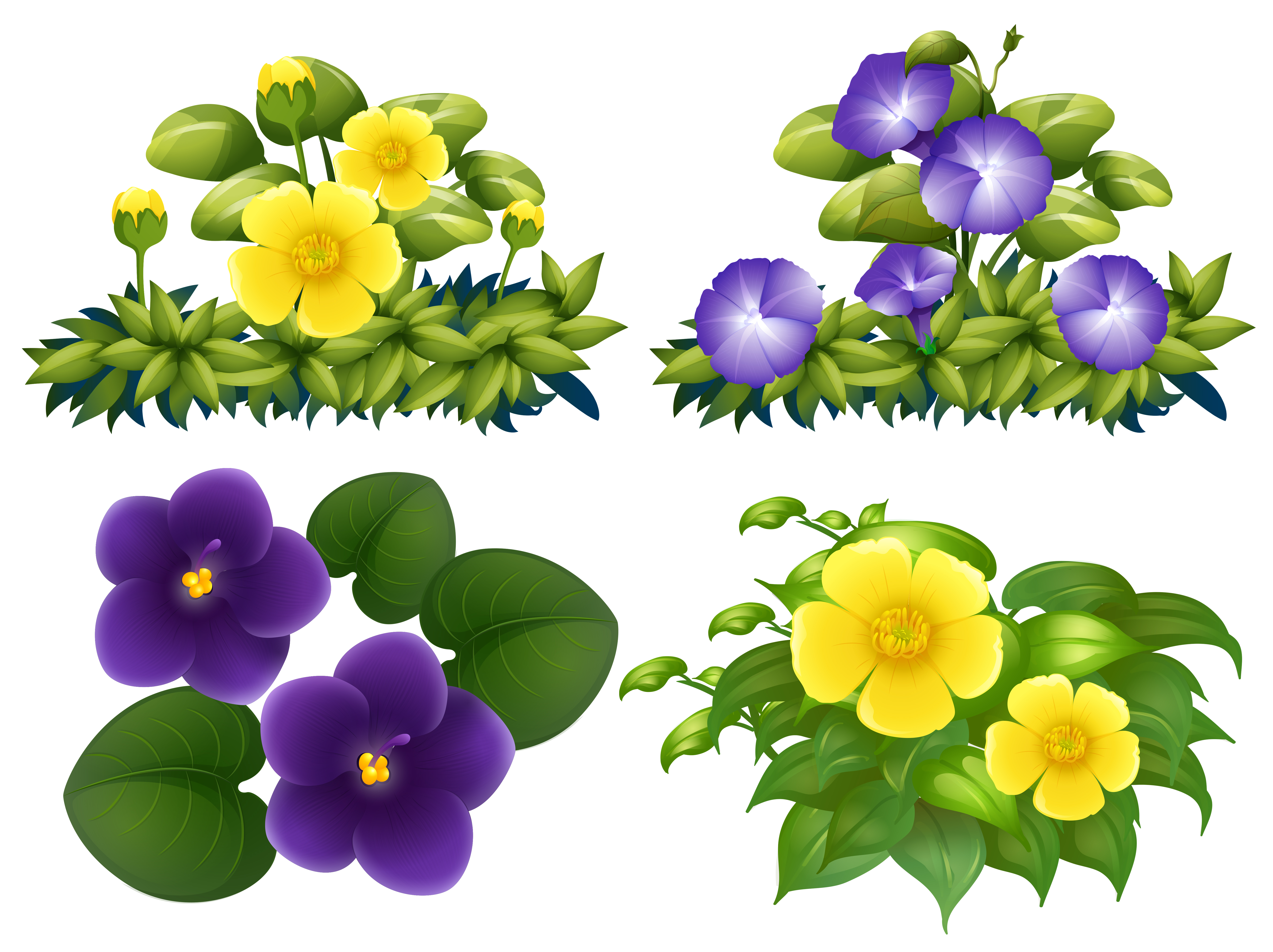Free Free 325 Flower Of Svg SVG PNG EPS DXF File