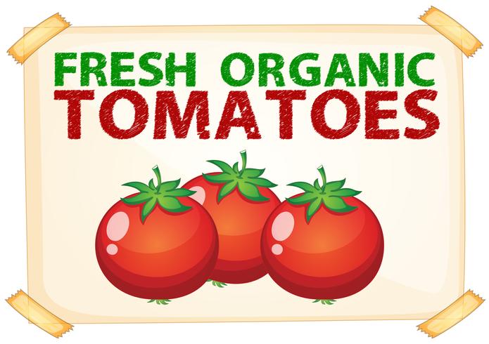 Fresh tomatoes vector