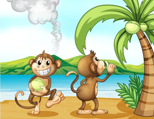 Two monkeys at the beach vector