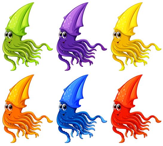 Squid vector