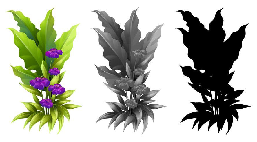 Set of flower plant vector