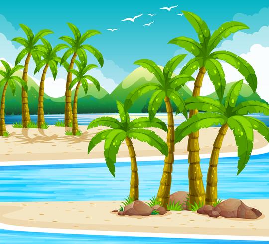 Beach view at daytime vector