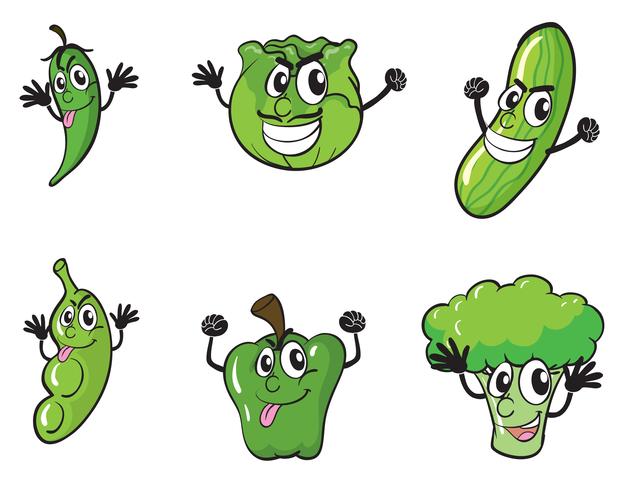 vegetables vector