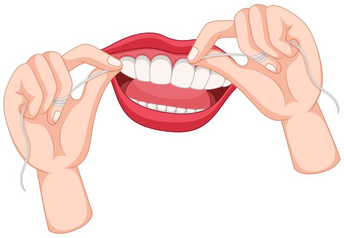 Flossing dientes sobre fondo blanco vector