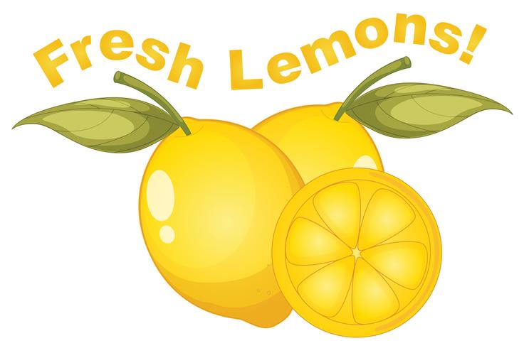 Fresh lemons on white background vector