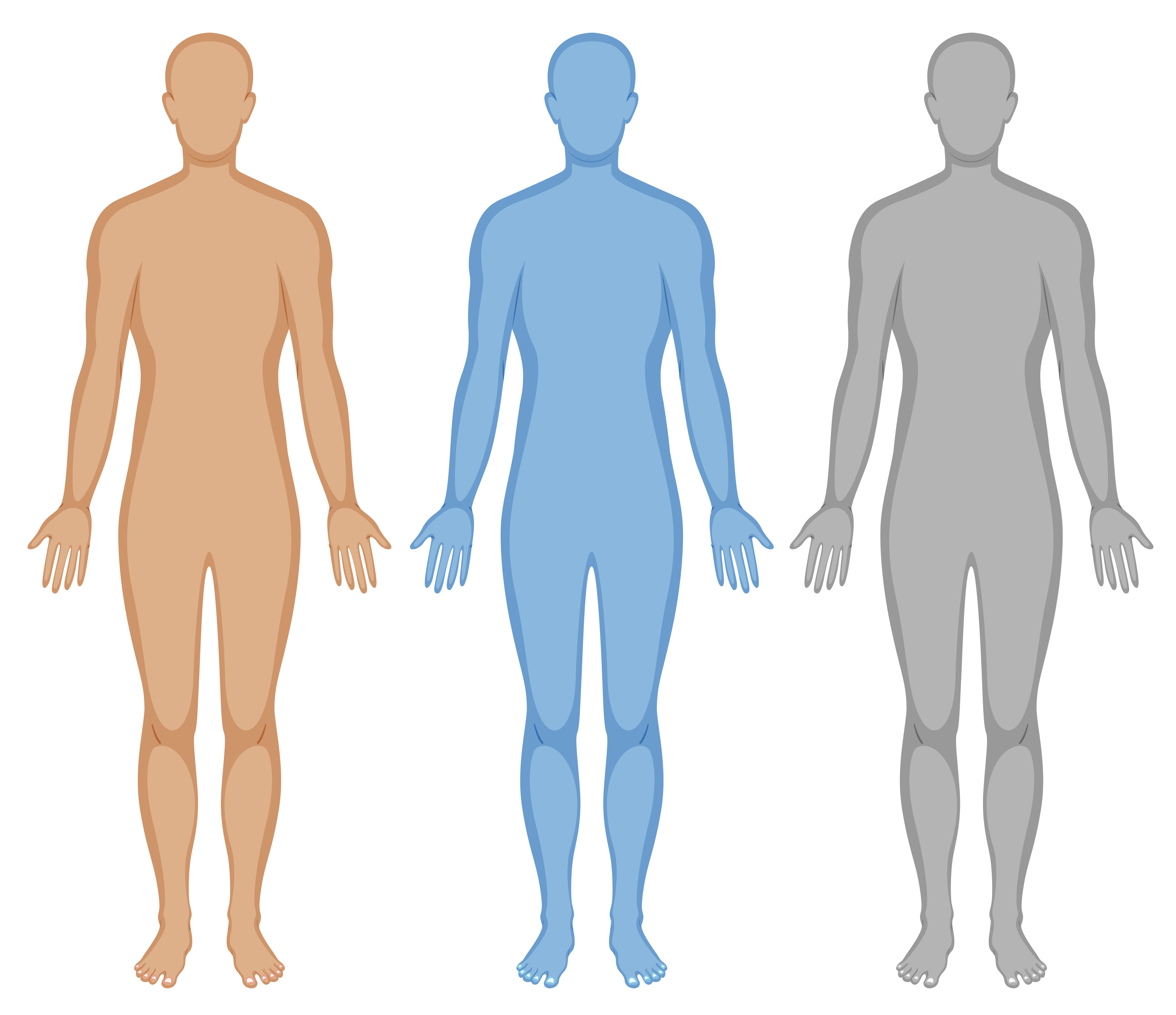 Human Body Outline Free Vector Art 226 Free Downloads You can edit any of drawings via our online image editor before downloading. vecteezy