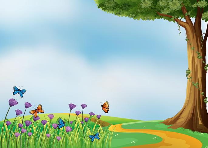 Butterflies and a beautiful nature vector