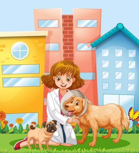 A Vet Taking Care of Dog vector