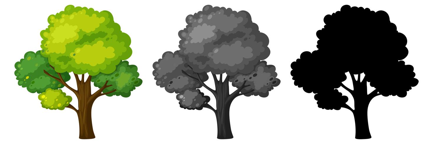 Conjunto de arbol aislado vector