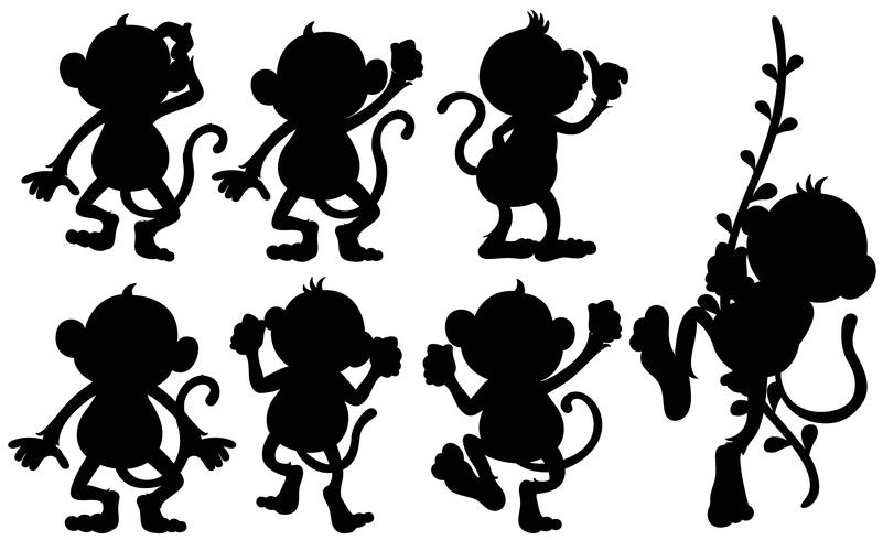 Silhouette monkeys in different positions vector