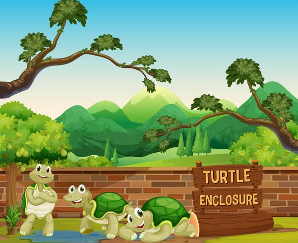 Tortuga en el zoológico abierto vector