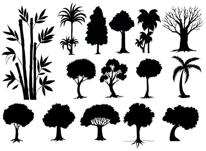 Sihouette different types of trees vector