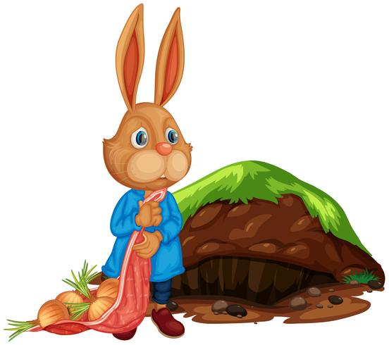 A Cartoon Cute Rabbit Farming  vector
