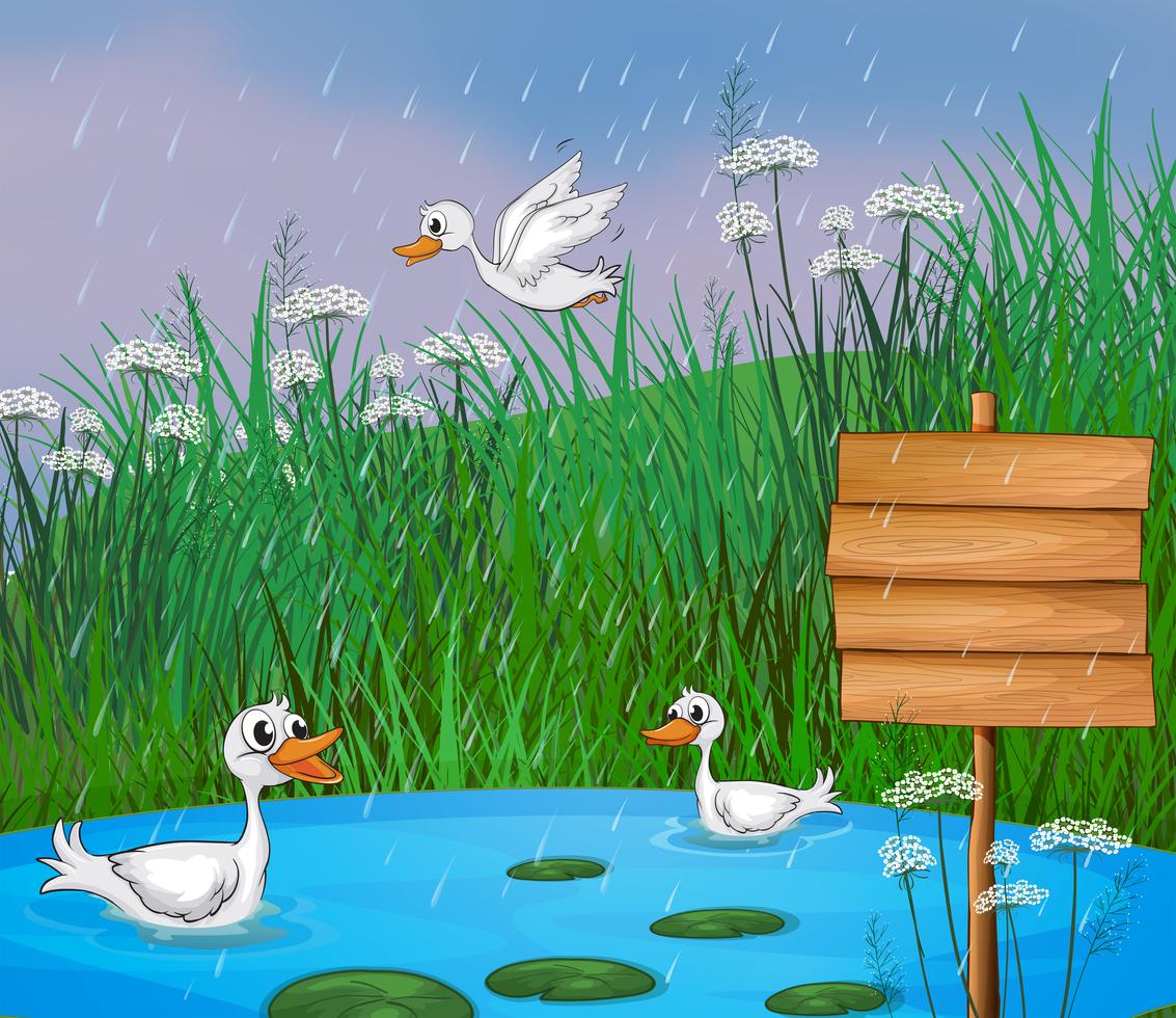 Ducks playing in the rain 418419 Vector Art at Vecteezy
