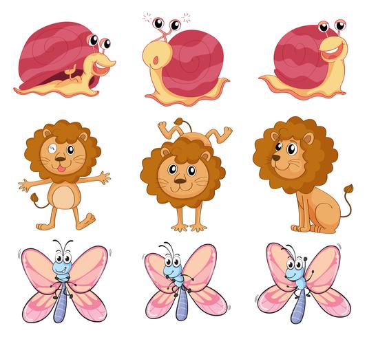 A lion, a snail and a butterfly vector