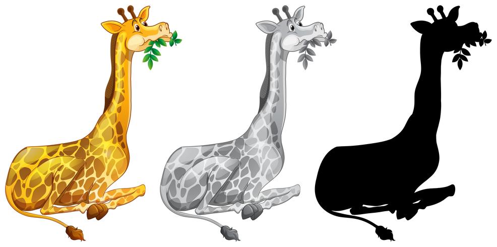 Set of giraffe eating vector