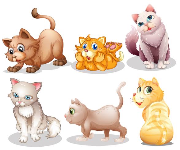 Playful cats vector