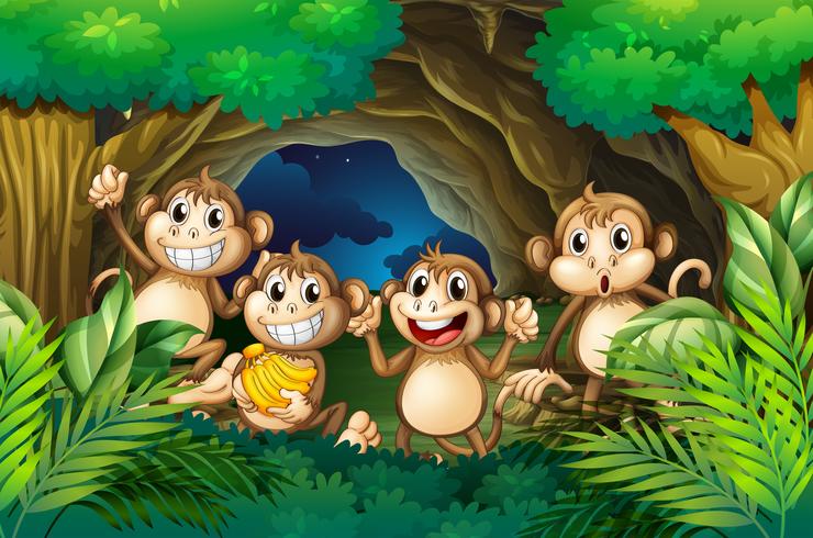 Happy monkeys in deep forest 418667 - Download Free ... (740 x 490 Pixel)