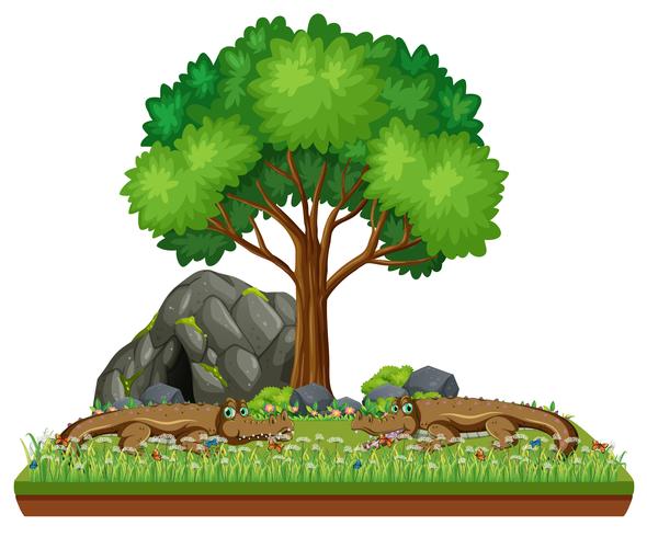 Isolated crocodile in nature vector