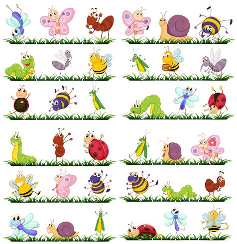 Different kind of insects on grass vector