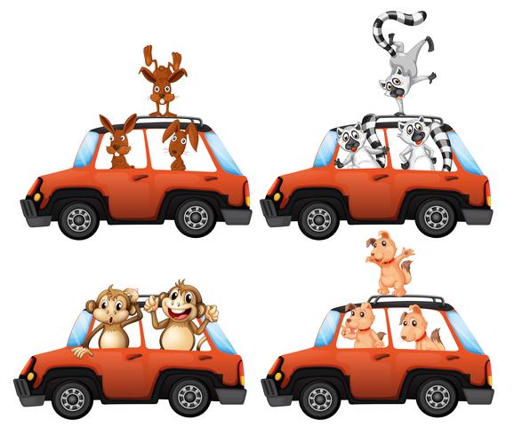 Un conjunto de animales en coche. vector