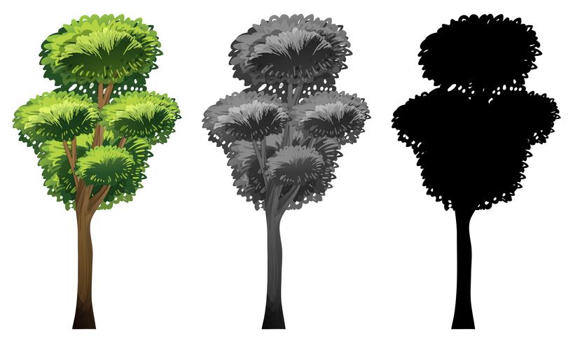 Conjunto de diseño de árbol vector