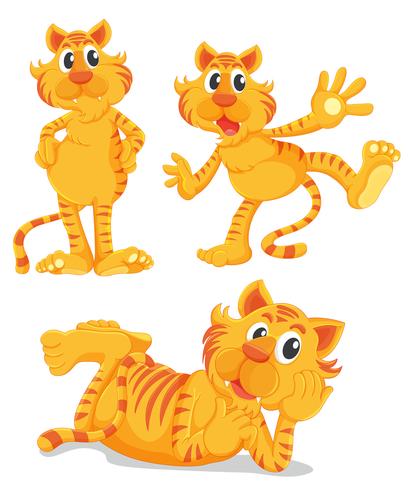 Ginger cats series vector