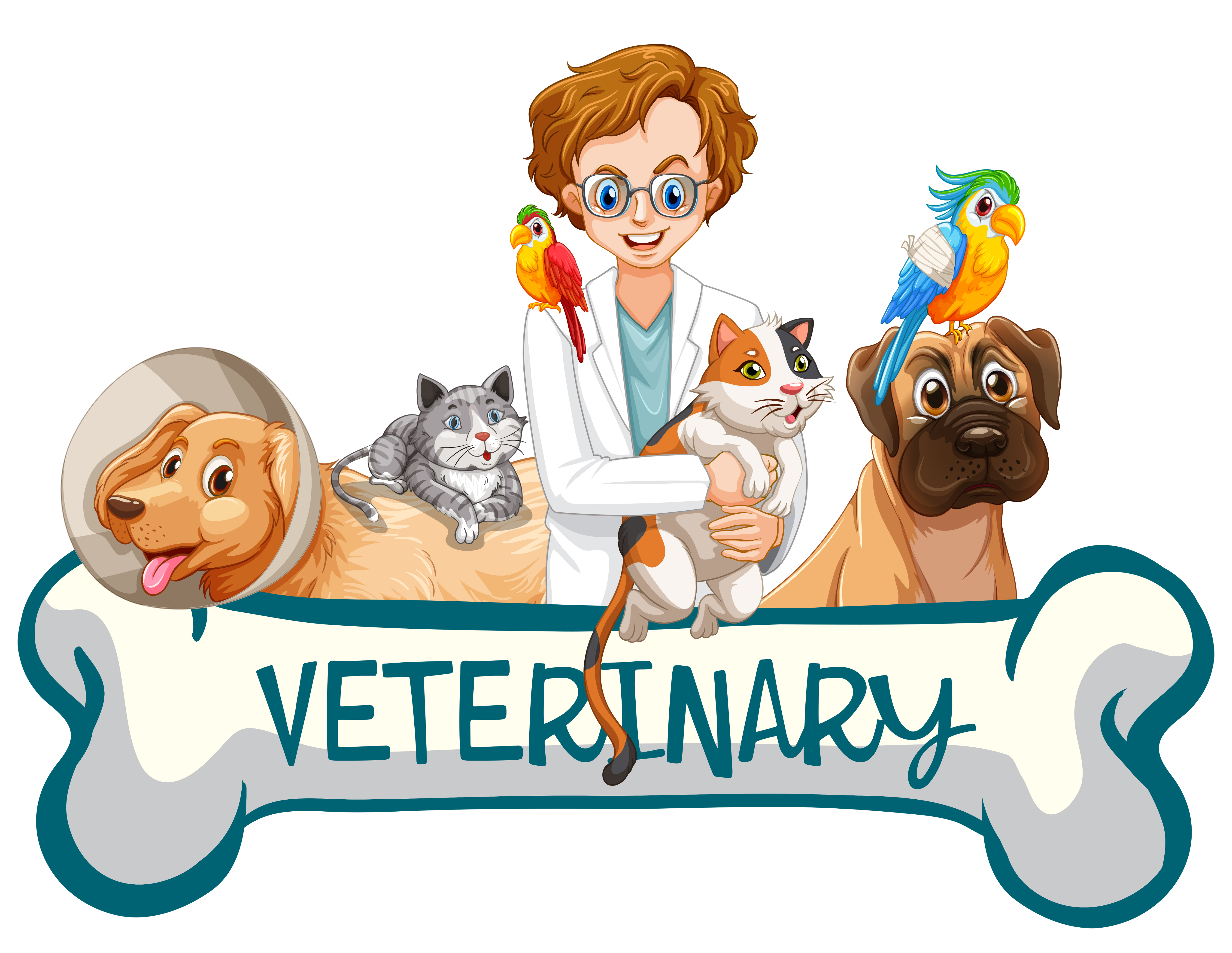 veterinarians with animals clipart image