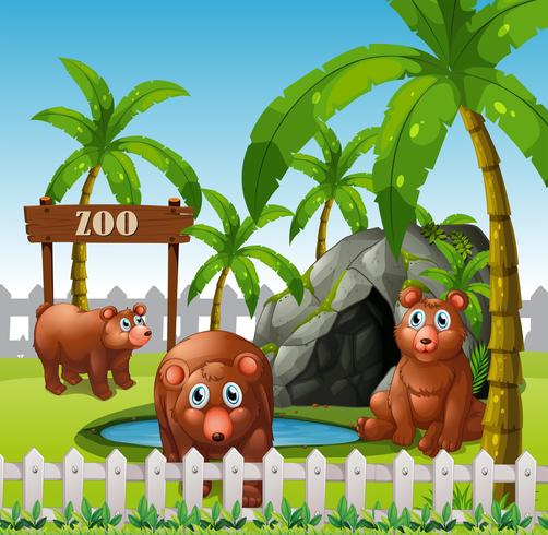 A bear family in the zoo vector