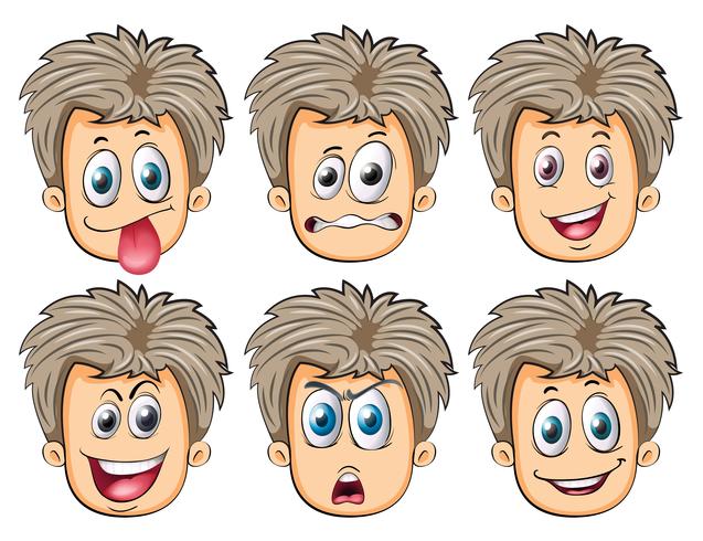 Faces vector