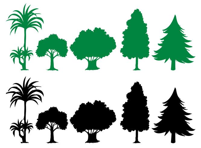 Conjunto de arbol silueta vector