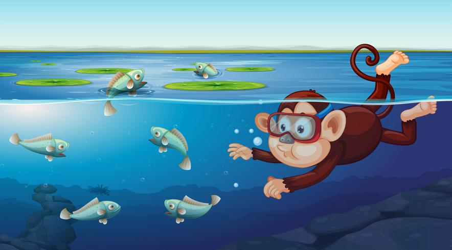 Monkey swimming underwater scene vector
