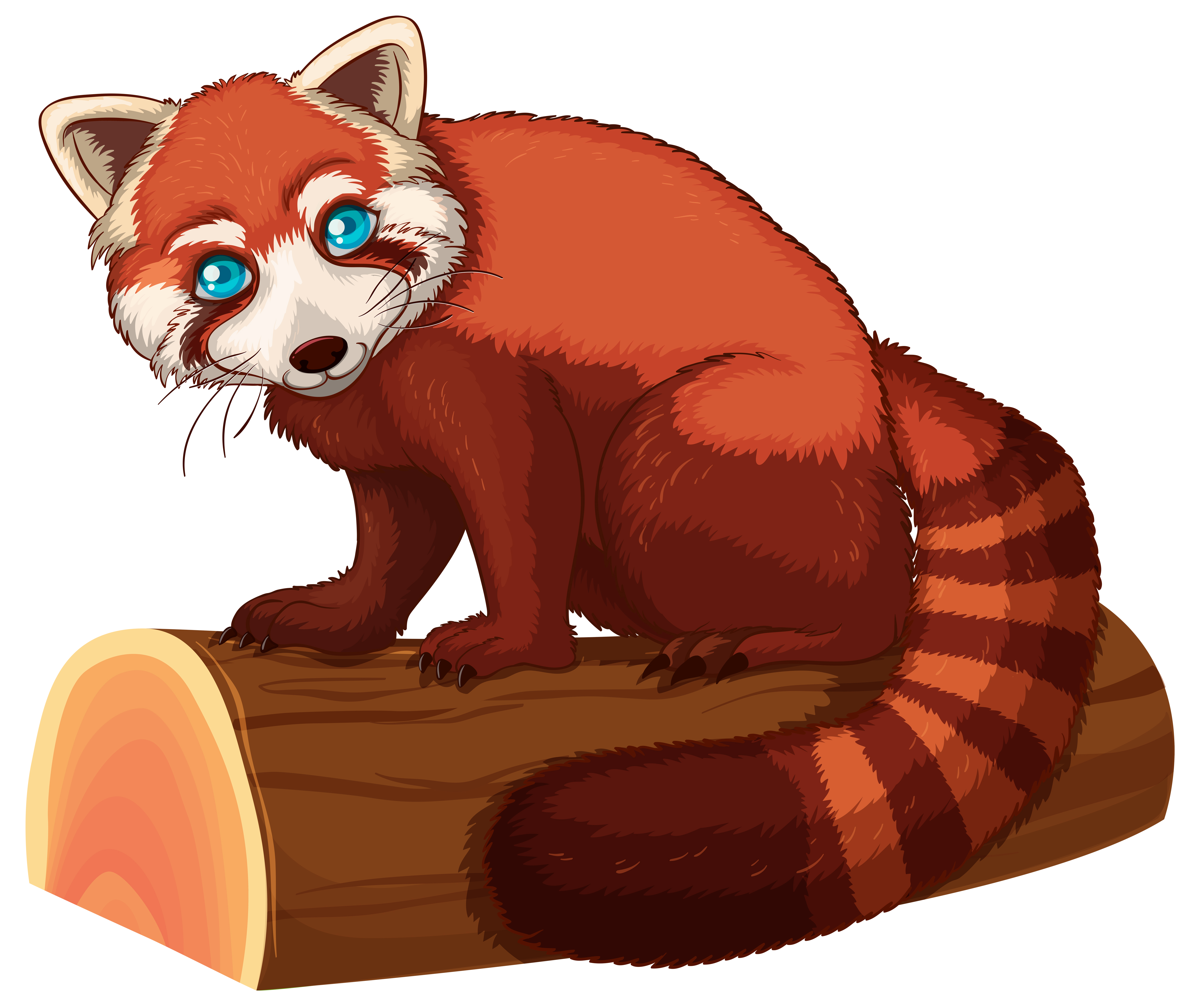 Red Panda Panda Illustration Red Panda Animal Illustration - Riset