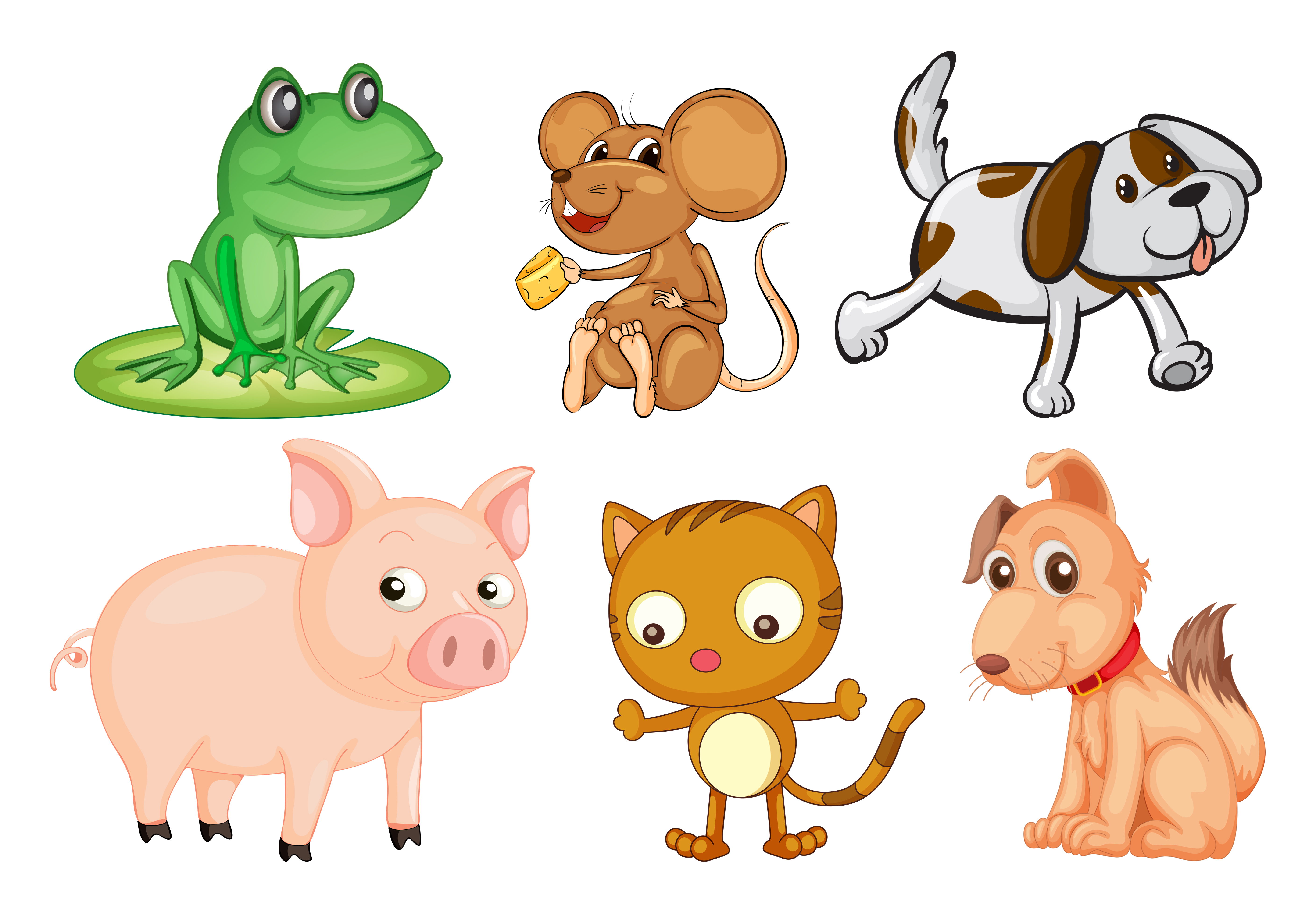 Diferentes tipos de animales terrestres. 418910 Vector en Vecteezy