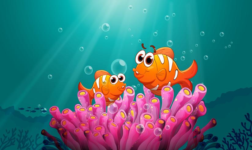 fishes in water vector