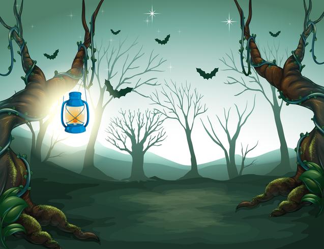 Lamp Light in the Dark Forest vector