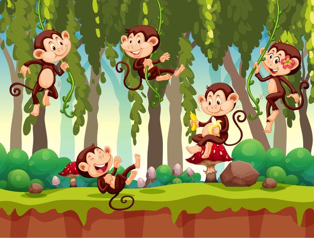 Monkey in the jungle vector