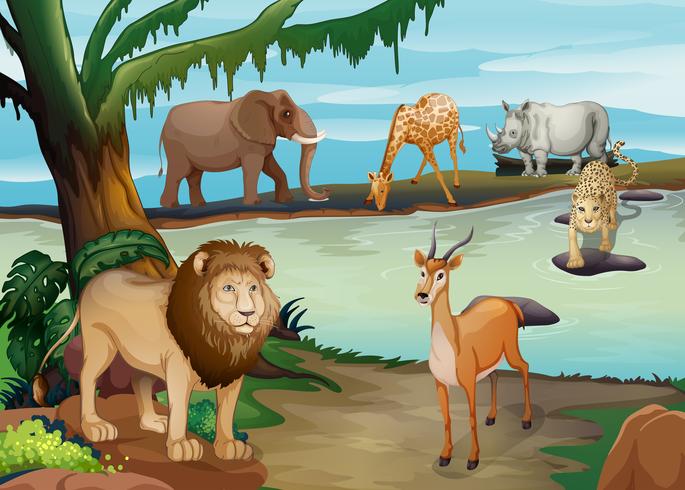 Many wild animals living by the pond vector