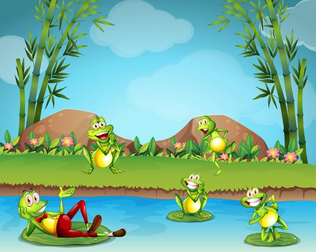 Five frogs living by the pond vector