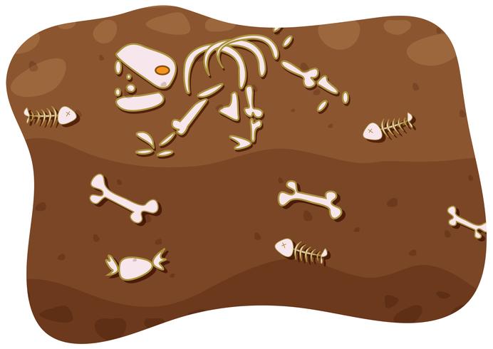 Fossil under the ground vector