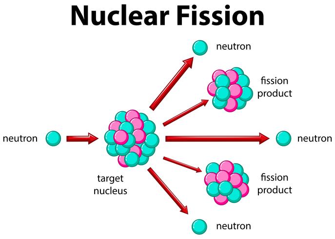 Diagrama que muestra la fisión nuclear. vector