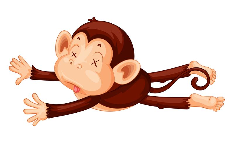 A monkey playdead on white background vector