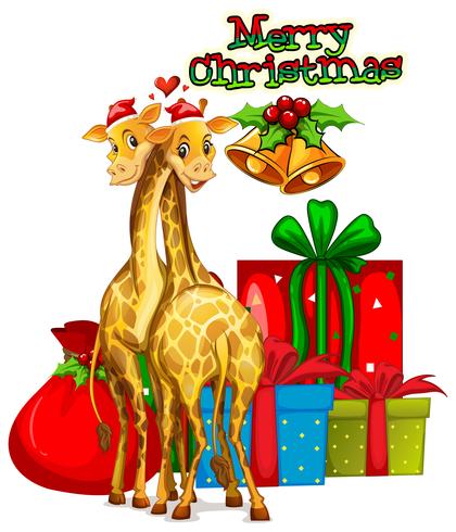 Plantilla de tarjeta de Navidad con jirafas y regalos. vector