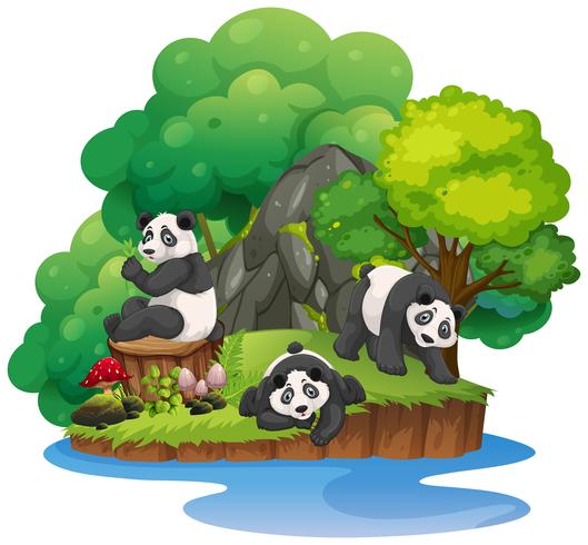 Isla de naturaleza aislada con panda vector