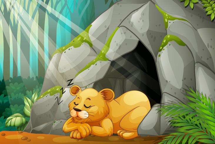 Little cub sleeping in the cave vector