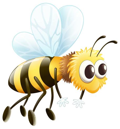 Una abeja vector