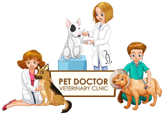 Médicos veterinarios con mascotas. vector