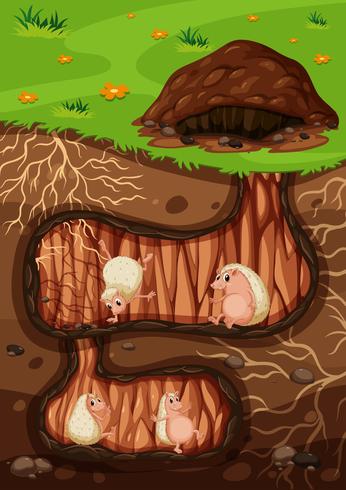 A Hedgehog Family Living Underground vector