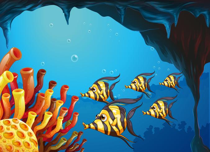 Un grupo de peces de color rayado cerca de los arrecifes de coral. vector