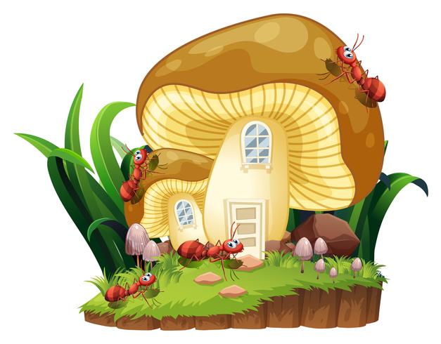 Red ants and mushroom house in garden vector